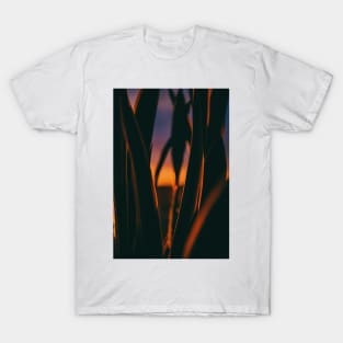 The Bend T-Shirt